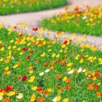 おなら、便秘、下痢、膨満感、げっぷや胸やけで恥をかかない方法